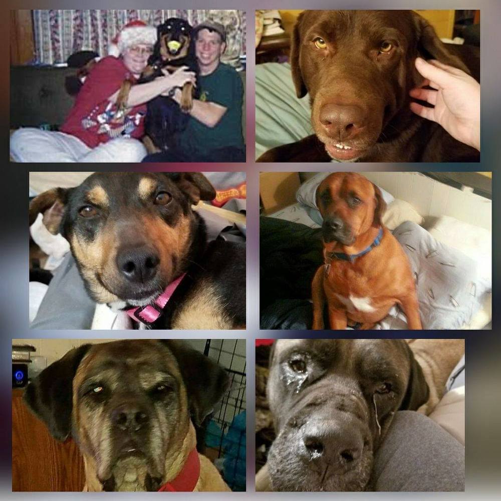 Meet your Posher, Renee'